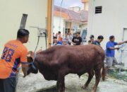 Gema Kurban di Pelataran dr. Karneni: Merajut Kepedulian, Menebar Keberkahan