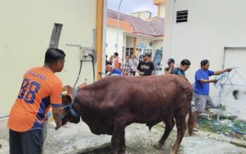 Gema Kurban di Pelataran dr. Karneni: Merajut Kepedulian, Menebar Keberkahan