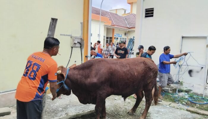 Gema Kurban di Pelataran dr. Karneni: Merajut Kepedulian, Menebar Keberkahan