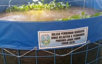 Dongkrak Ekonomi Warga, 10 Keluarga di Desa Karangsemi Terima Bantuan Kolam dan Benih Lele