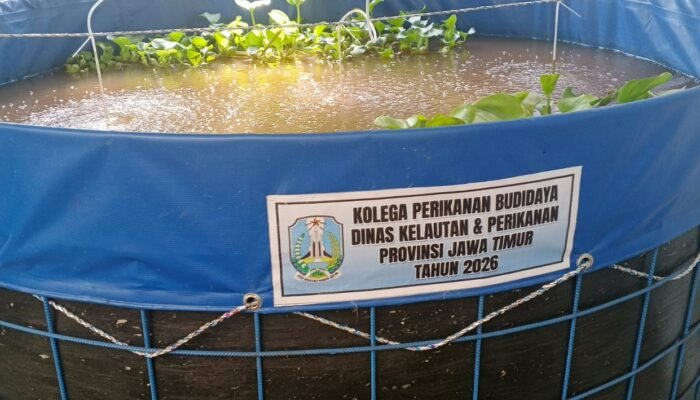 Dongkrak Ekonomi Warga, 10 Keluarga di Desa Karangsemi Terima Bantuan Kolam dan Benih Lele