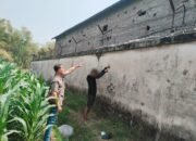 Polres Nganjuk Ungkap Pencurian Jagung Berulang, Empat Terduga Pelaku Diamankan