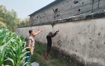 Polres Nganjuk Ungkap Pencurian Jagung Berulang, Empat Terduga Pelaku Diamankan