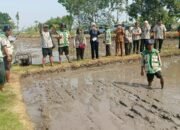 Tingkatkan Ketahanan Pangan, Kabupaten Nganjuk Resmi Mulai Percepatan Masa Tanam Ketiga Berbasis Demplot