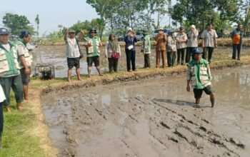 Tingkatkan Ketahanan Pangan, Kabupaten Nganjuk Resmi Mulai Percepatan Masa Tanam Ketiga Berbasis Demplot