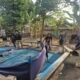 Tindaklanjuti Laporan Warga, Satreskrim Polres Nganjuk Cek Dua Lokasi Diduga Sabung Ayam