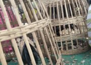 Mau Judi Sabung Ayam dan Capjiki.? Datang ke Sumberpitu Tutur Pasuruan 