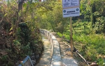 Perkuat Lumbung Pangan Daerah, Pemkab Ngawi Modernisasi Jaringan Irigasi Tritis di Ngrambe