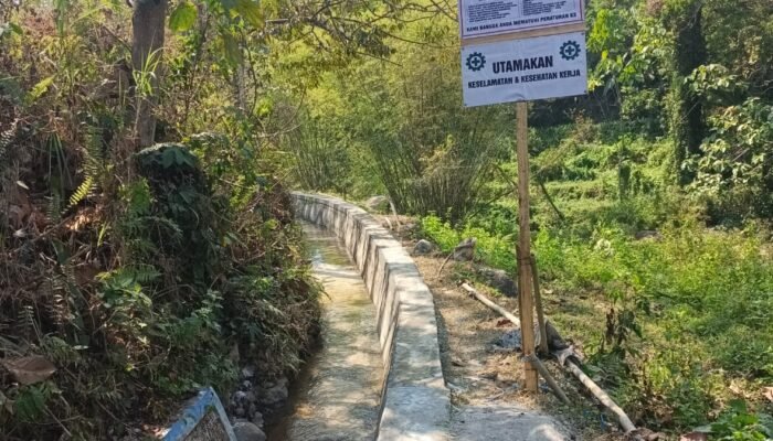 Perkuat Lumbung Pangan Daerah, Pemkab Ngawi Modernisasi Jaringan Irigasi Tritis di Ngrambe